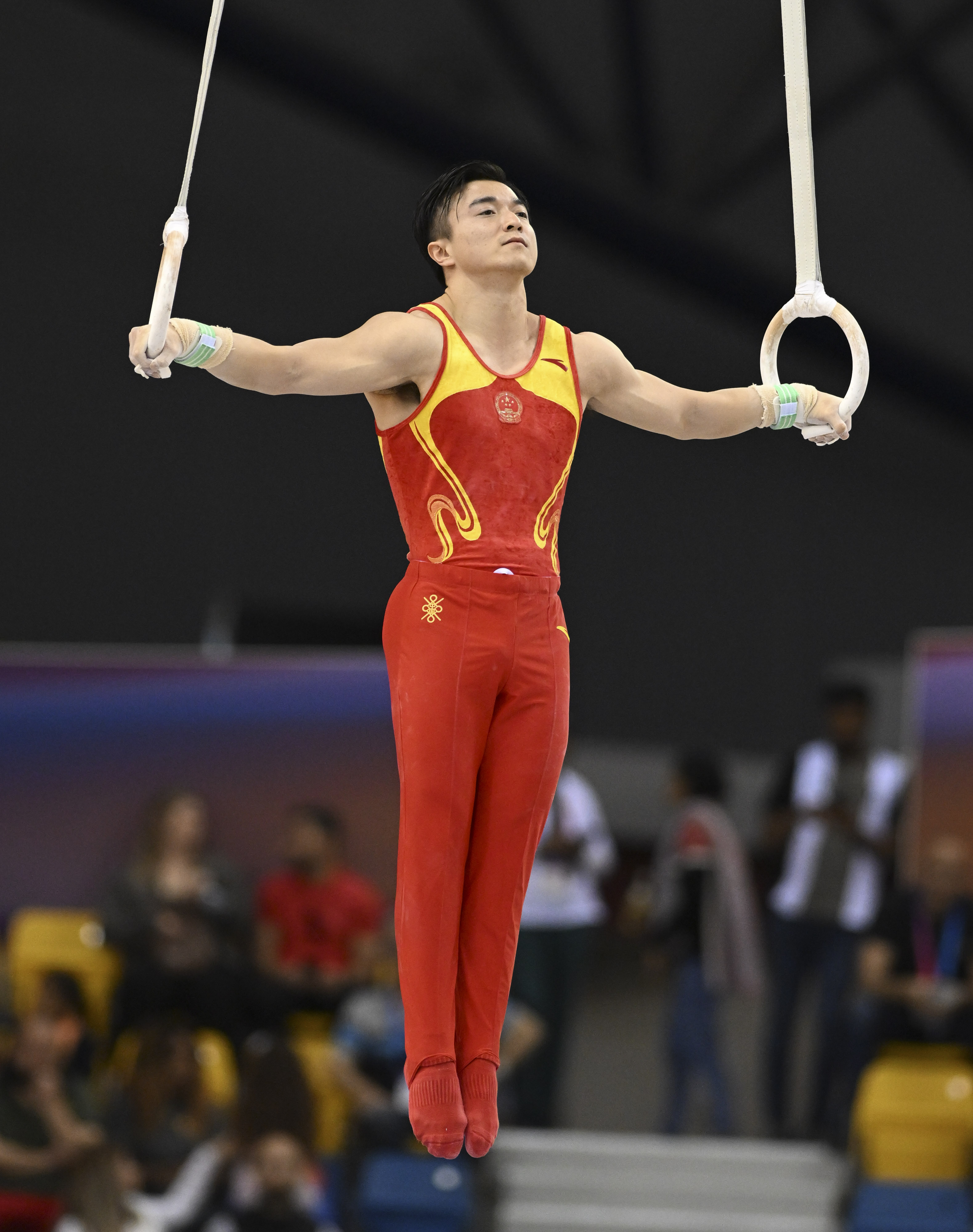 体操赛事精彩瞬间盘点，年度回顾震撼登场