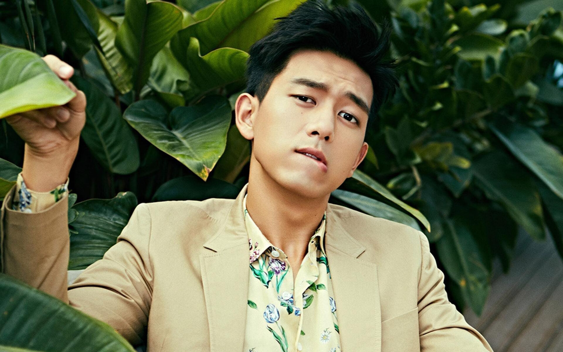 隔网相望,张本智和高光背后,心的方向是故乡