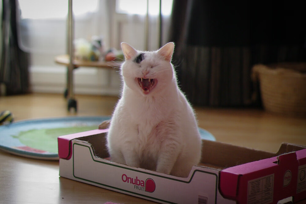 红土之魂硬地涅槃，鲁德在美网鏖战中用法网智慧写就的唯一性胜利