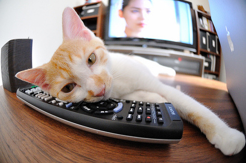 星火燎原,王皓绝境之击点亮赛场,中国队险胜奥地利队