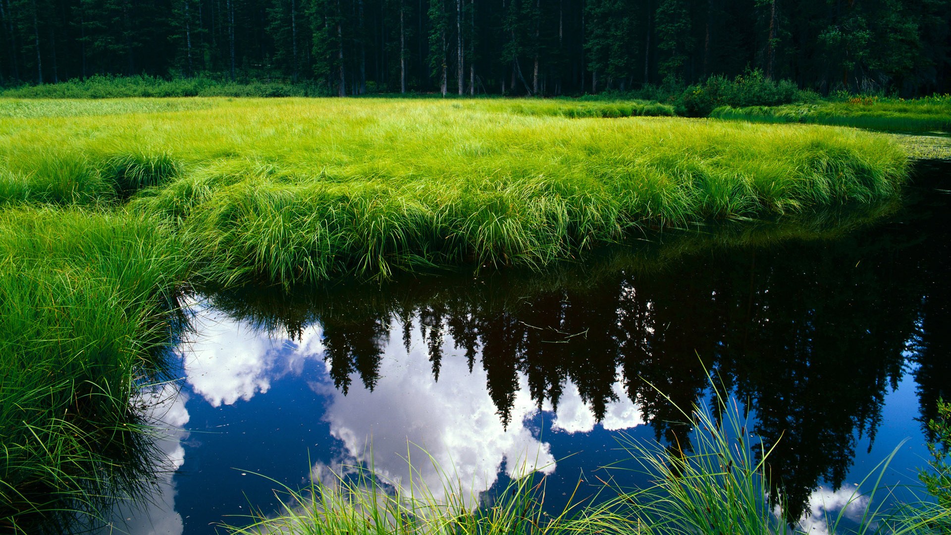 竞技场上的定律,英格兰险胜与苏亚雷斯的火焰