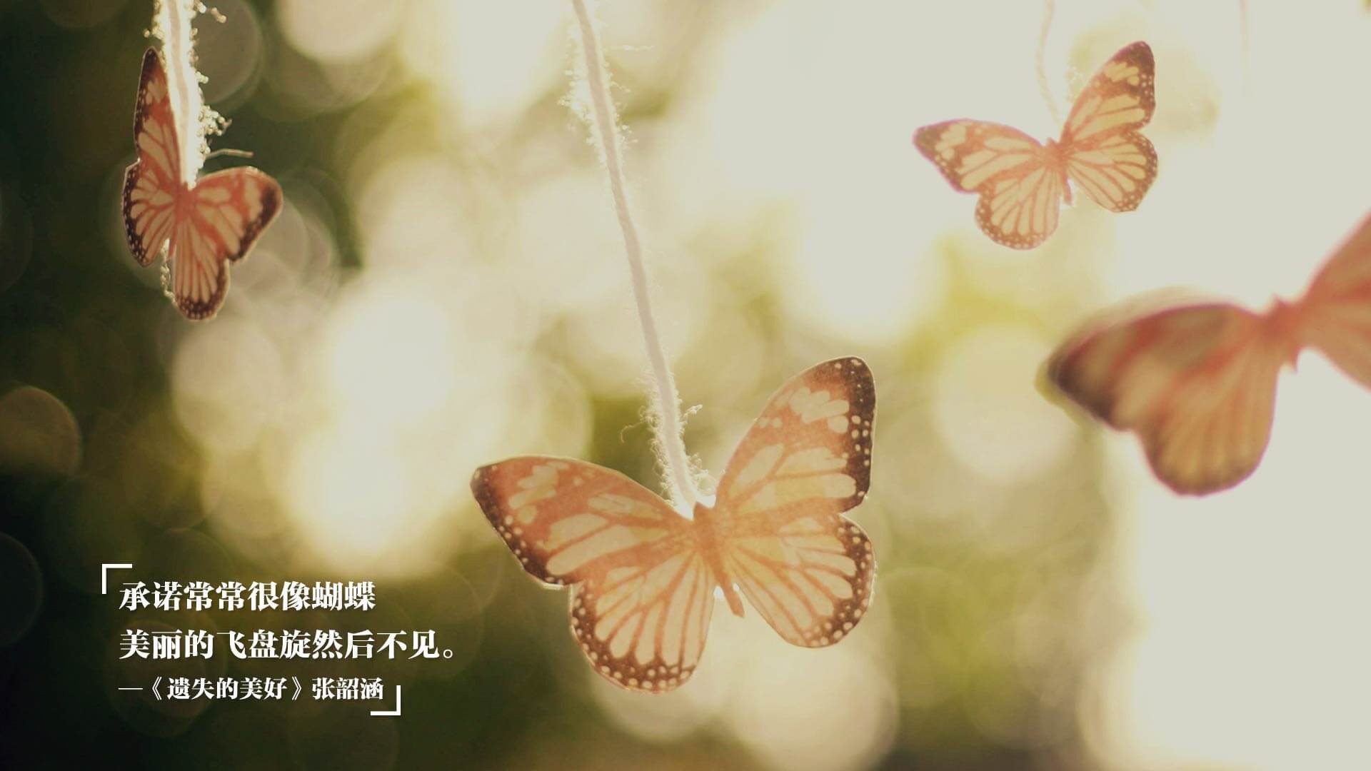 绿衣军团的鹰眼，穆勒一箭穿心，爱尔兰提前扼杀亚特兰大悬念