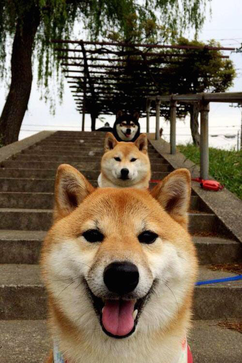 新星引爆，切特连珠炮火撕裂活塞，吉林队速胜展现恐怖效率