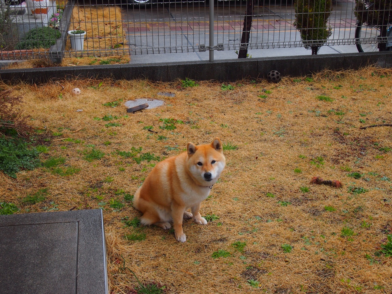 北非雄鹰的战术枷锁与北欧冰霜的破局之刃，论突尼斯式压制与厄德高的硬仗王本色