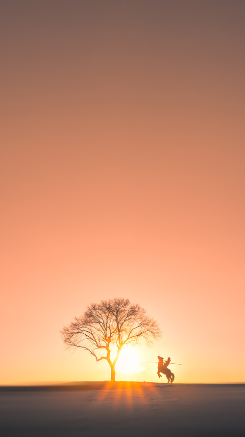 胜利的最后一笔，骑士单节发力击退吉林，武切维奇关键一击定乾坤