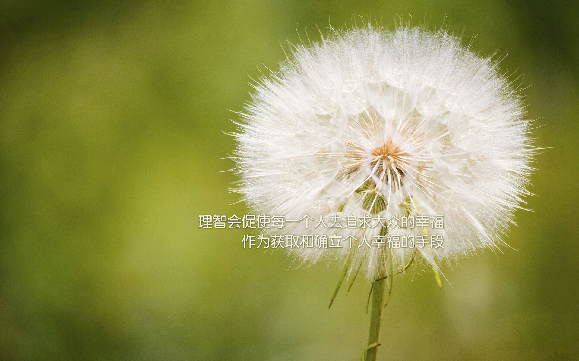 三色火焰，当北欧寒流刺穿格子堡垒，南欧烈焰焚尽战术边疆