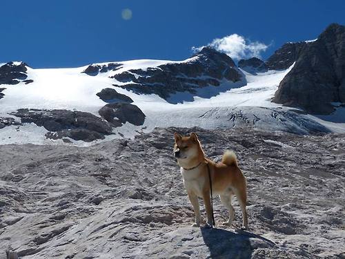 逆转与主宰，葡萄牙的翻盘奇迹与托尼的西决生死战传奇