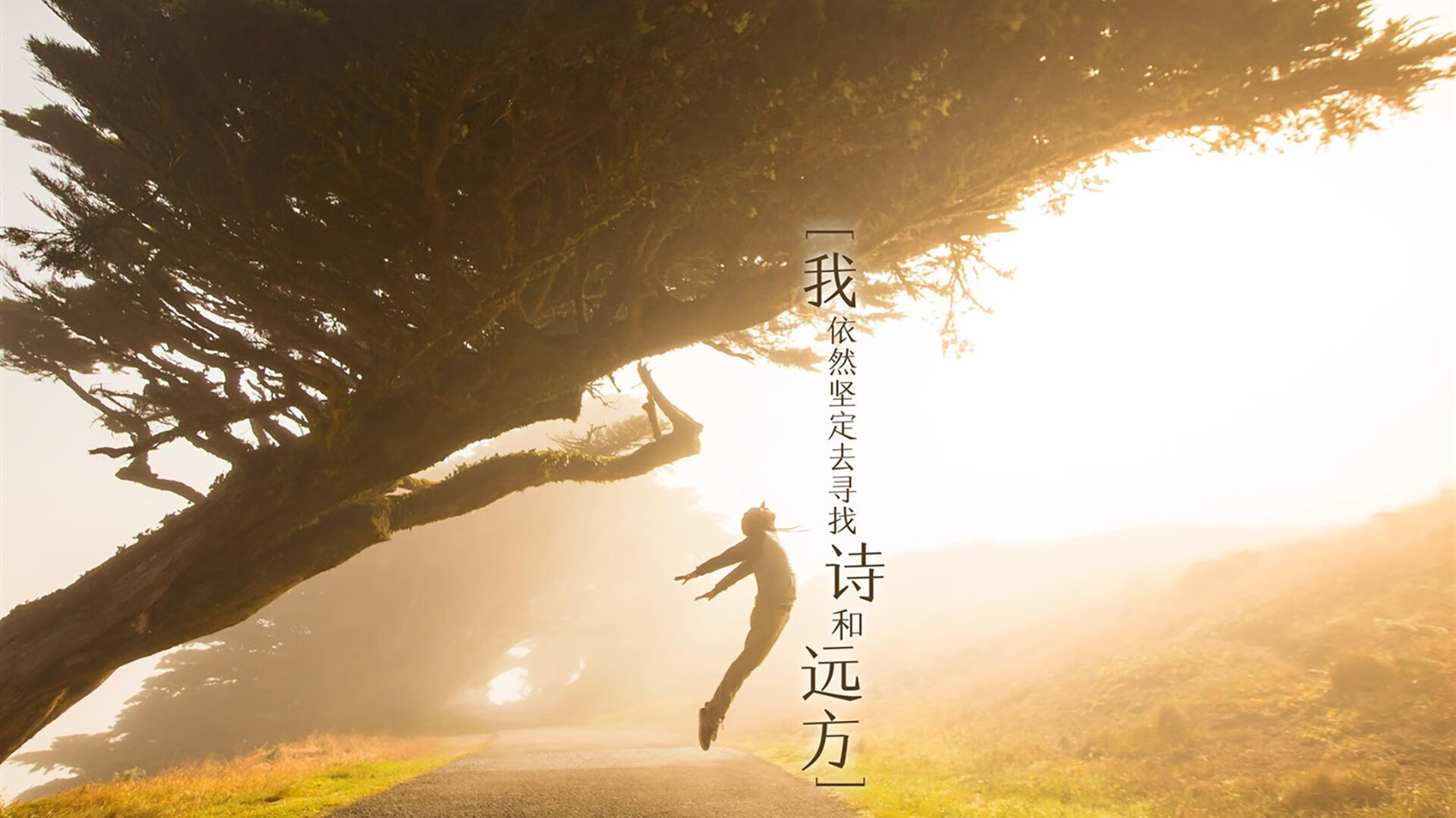 欧冠式绞杀！约基奇伯纳乌封神，掘金客场攻克绿军皇马