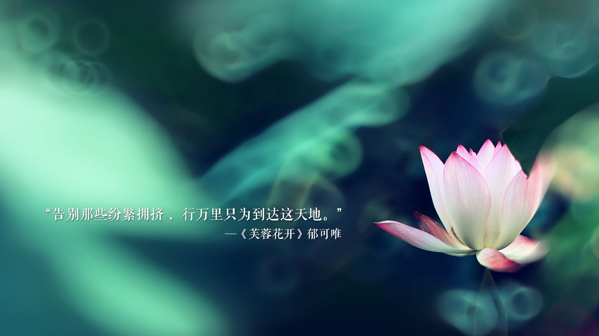 卡塔尔的黄昏，梅西的最后一道光—2026世界杯B组生死战，喀麦隆之血染红厄瓜多尔，梅西完成致命一击