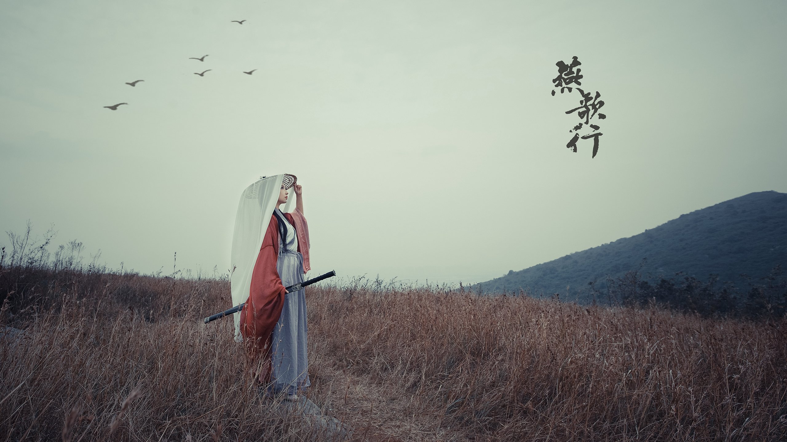 布罗佐维奇烈焰燃遍全场，葡萄牙碾压罗马尼亚宣告D组霸权